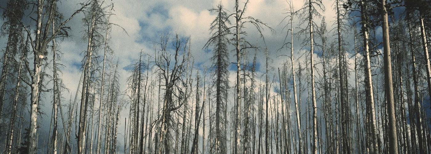 Escola Bíblica Dominical