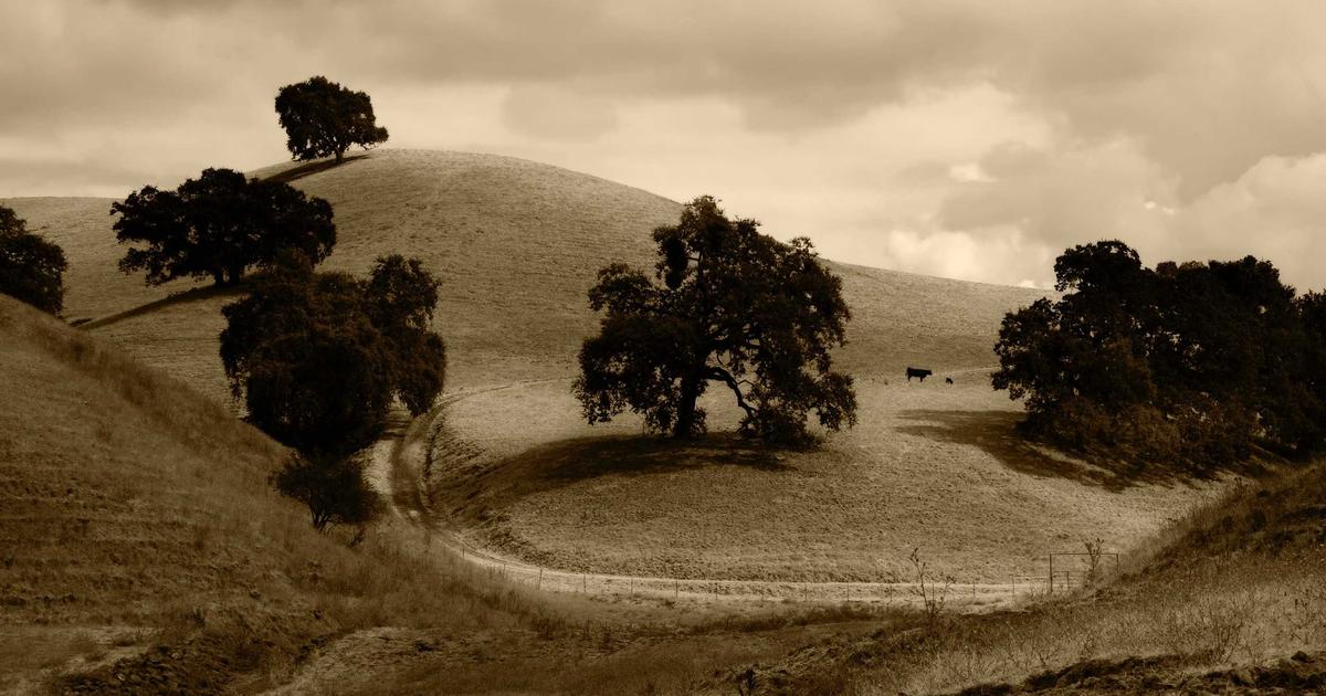 Jejum e Oração: Guia Prático para Iniciantes